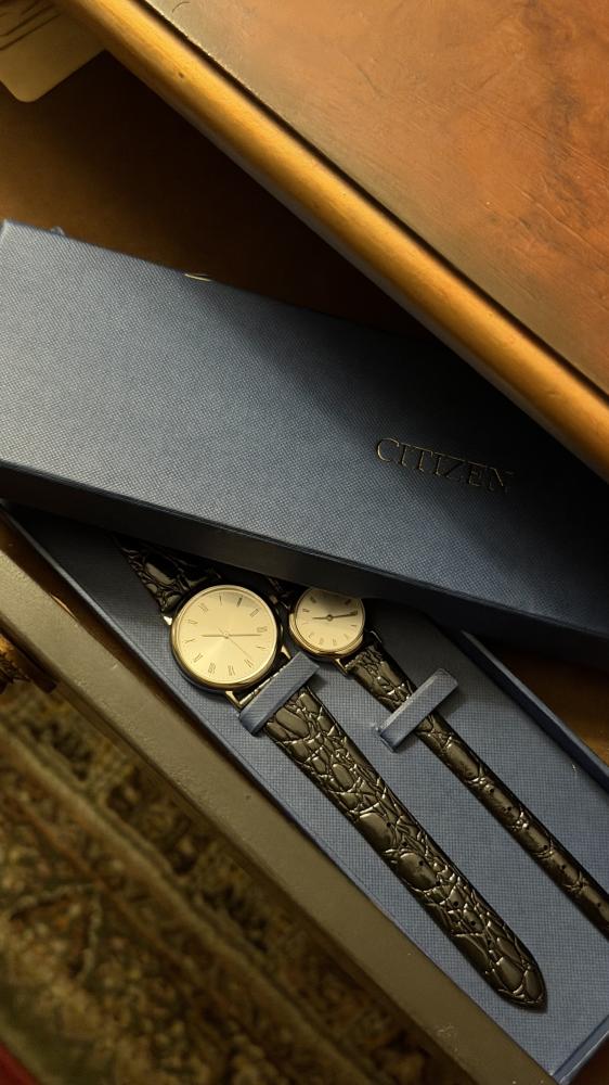 ⭐ Citizen Classic Couple Set – Vintage