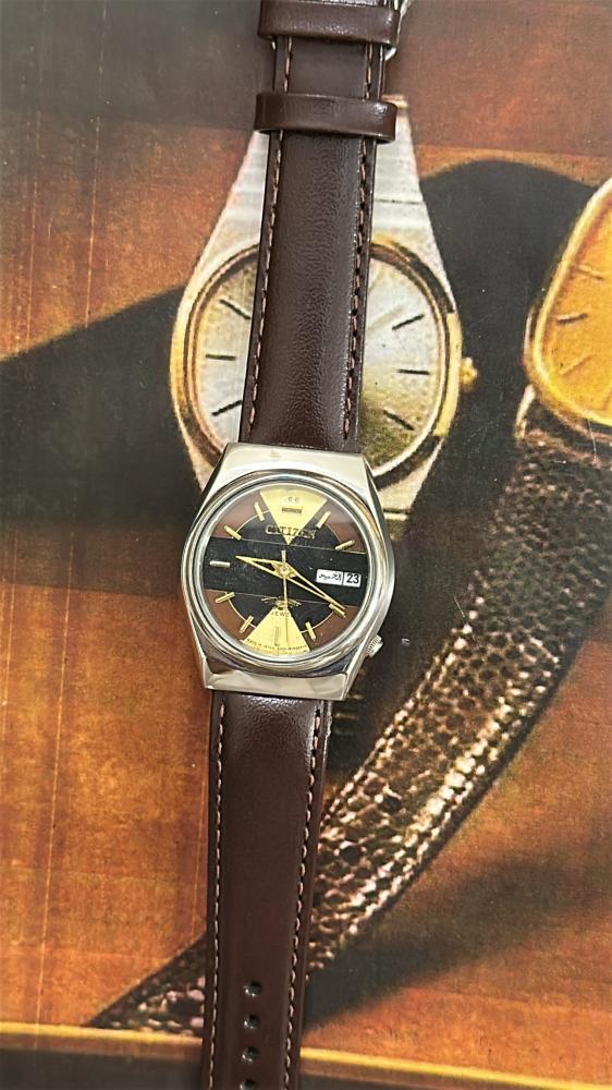 سيتيزن ڤنتج مينا نادر | CITIZEN Vintage
