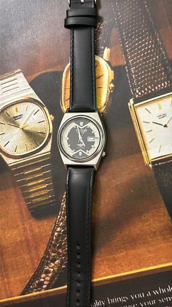 Citizen Vintage