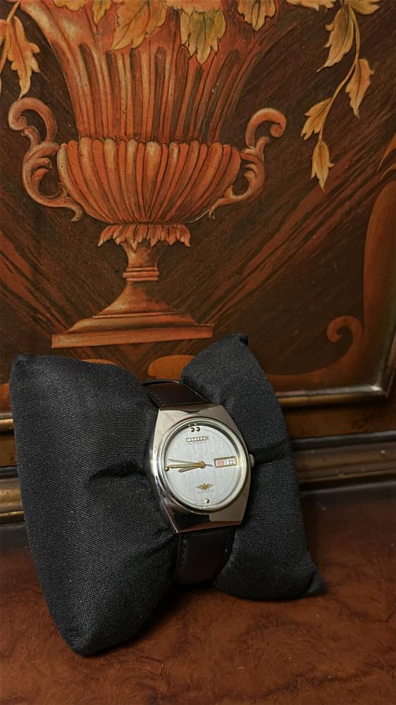 سيتيزن سلڤر | CITIZEN SILVER