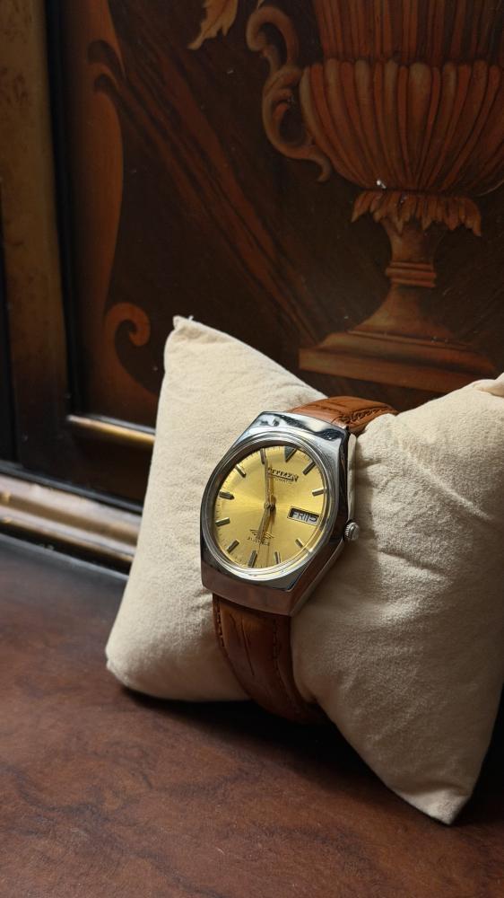 Citizen Vintage Gole