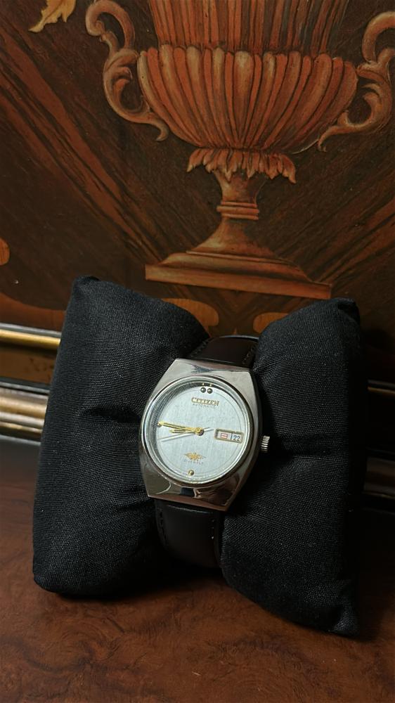 سيتيزن سلڤر | CITIZEN SILVER