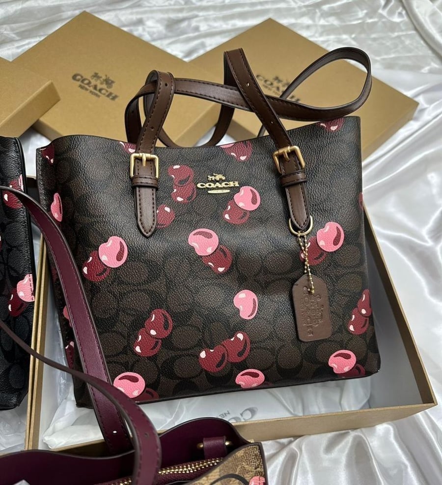 شنطه Coach