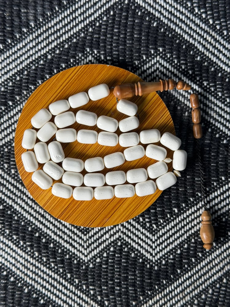 عظم جمل مميز