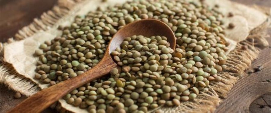 Green lentils