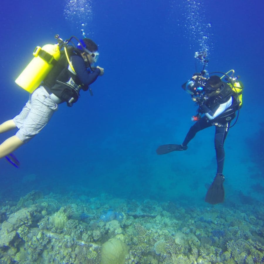 Private boat diving trip for 3 people
