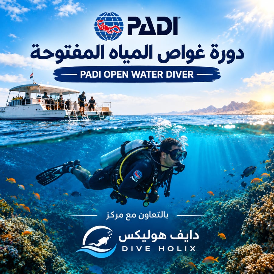 دورة غواص المياه المفتوحة PADI Open Water Diver — بالتعاون مع مركز دايف هوليكس