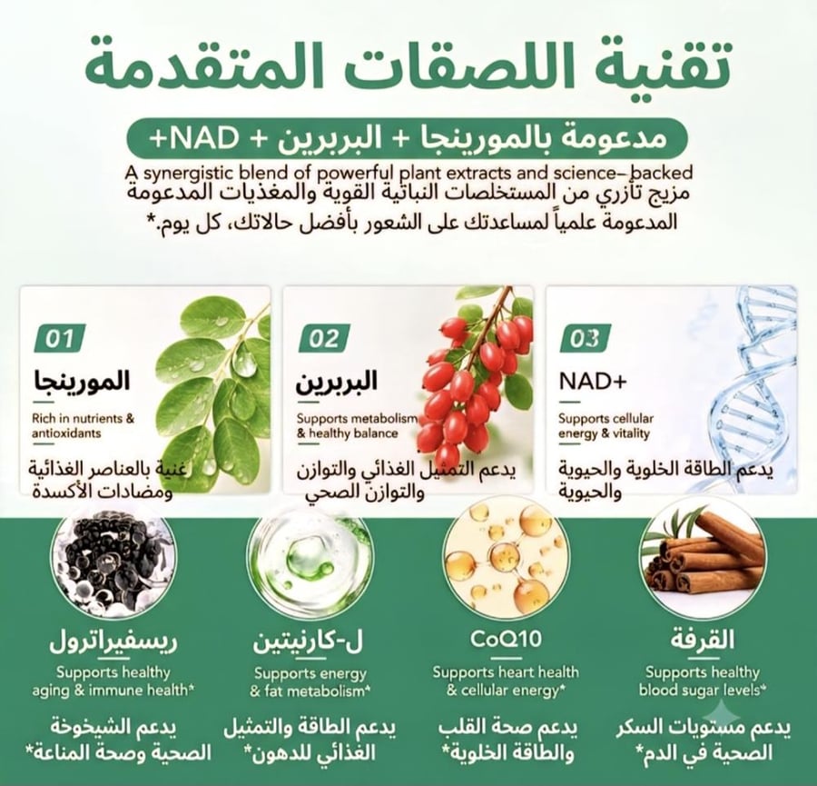لصقات المورينجا المتطورة لدعم الطاقة وإدارة الوزن (Moringa Patches)
