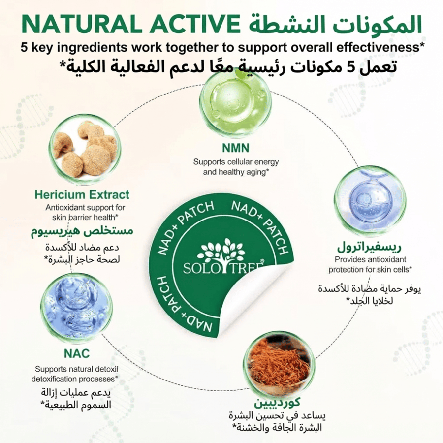 لصقات المورينجا المتطورة لدعم الطاقة وإدارة الوزن (Moringa Patches)