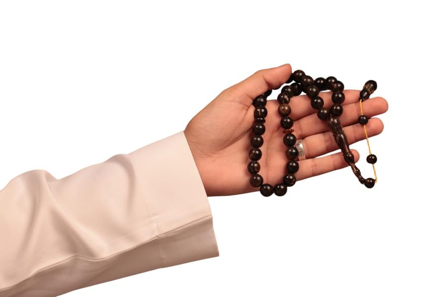 ظهر سلحفاة