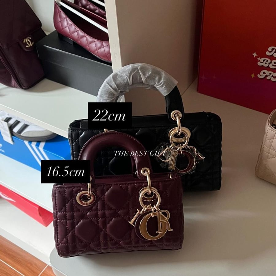 Lady Dior -Joy Bag