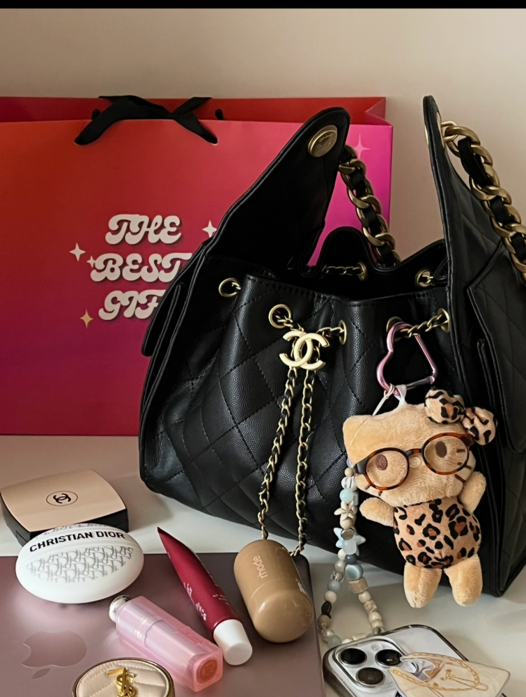 chanel bag 25cm