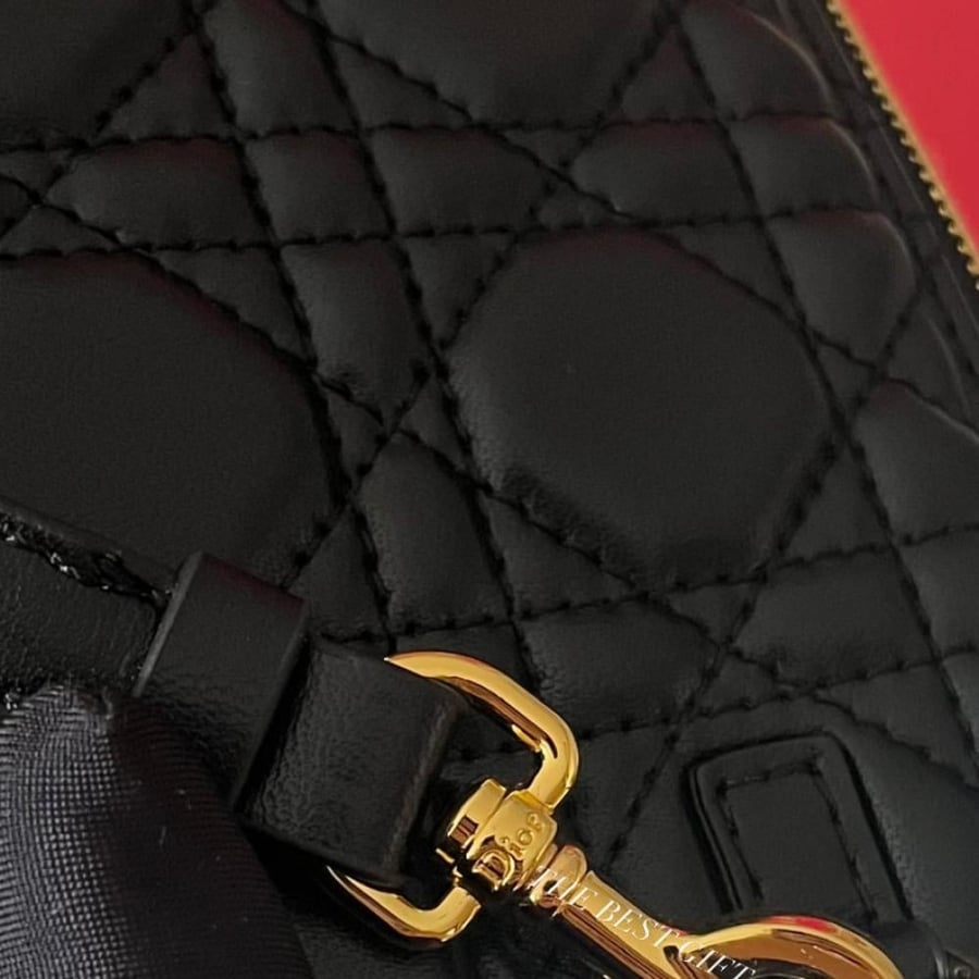 Dior Caro Daily Pouch