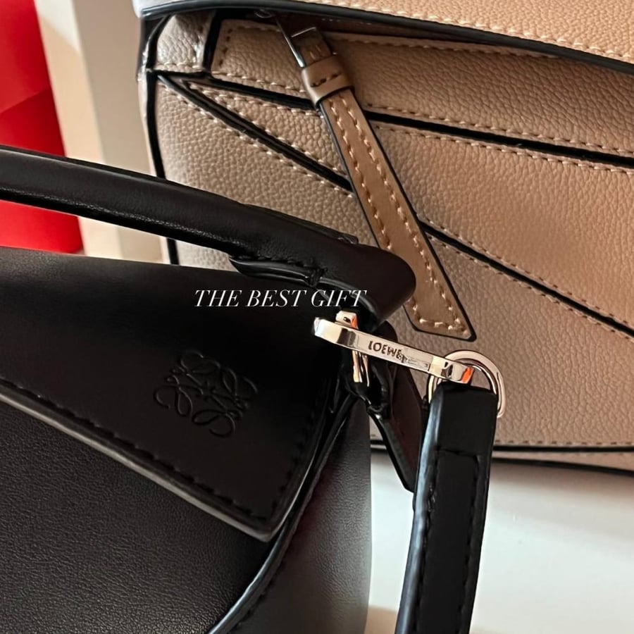 loewe bag