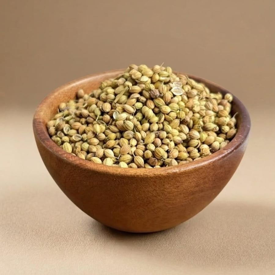 كزبرة حب (هندي)