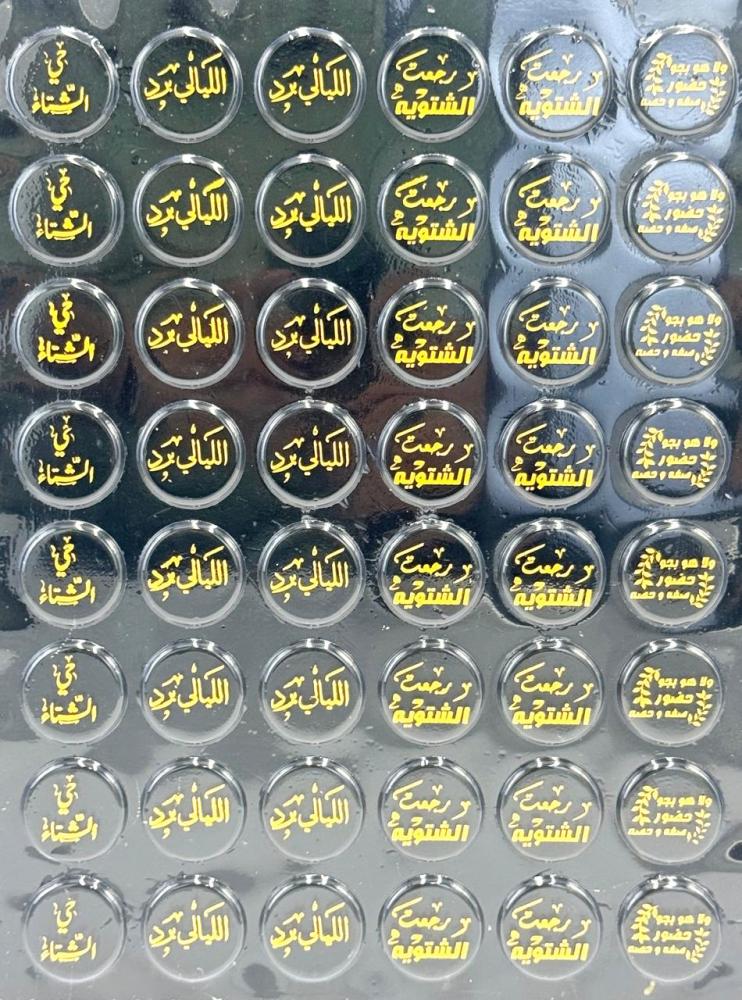 ترانس فير الشتاء 6
