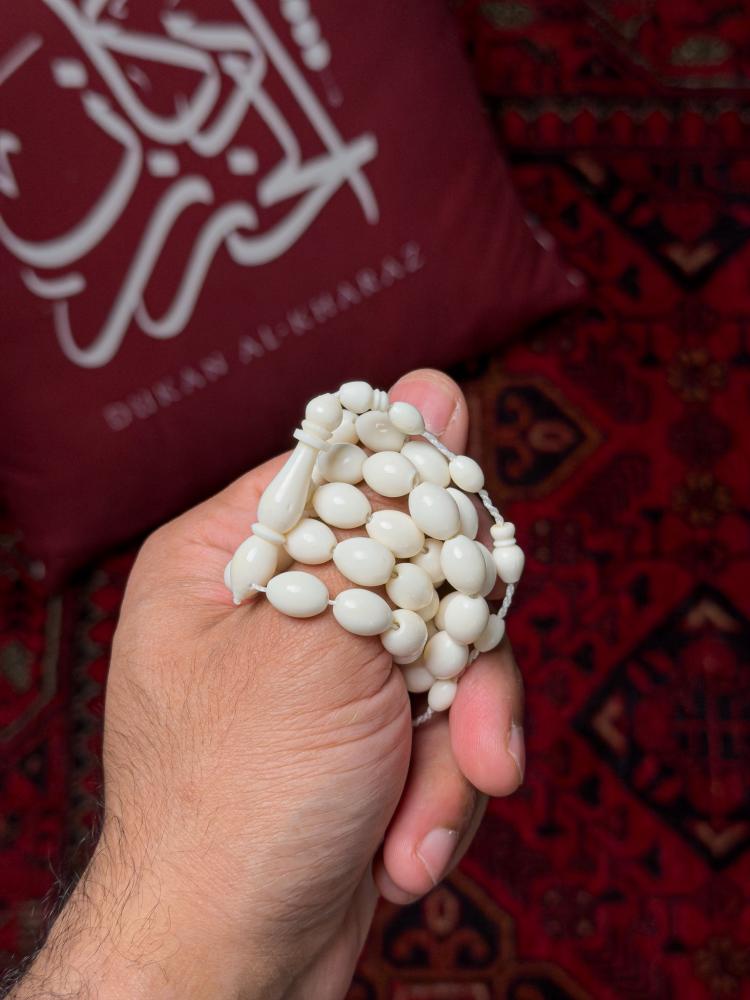 عظم جمل صنوبري