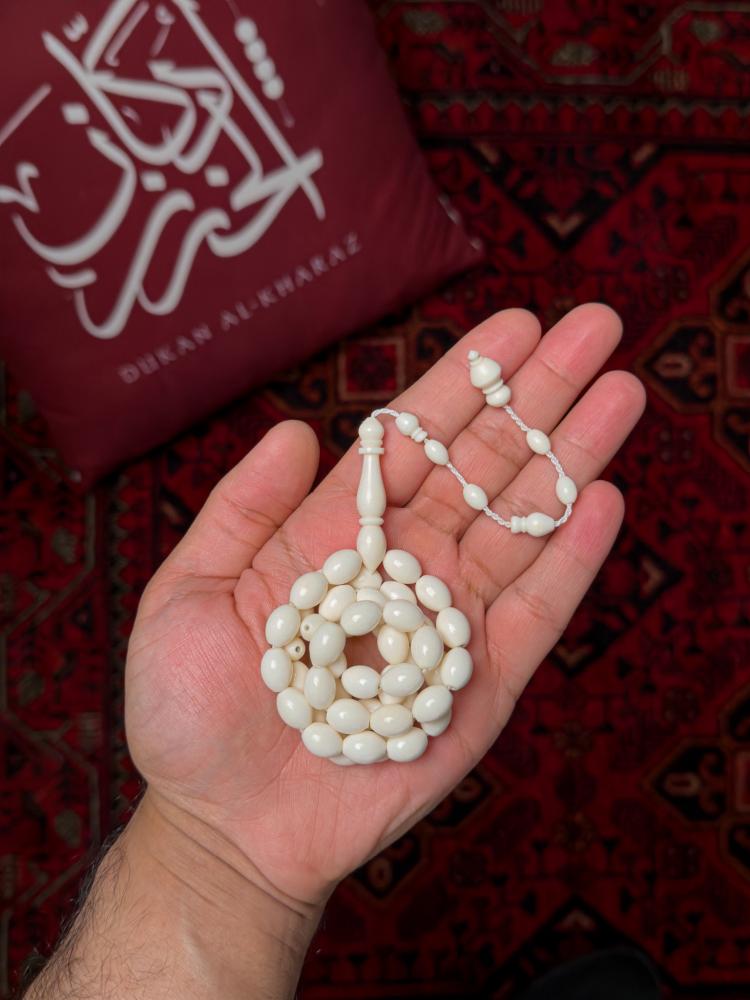 عظم جمل صنوبري