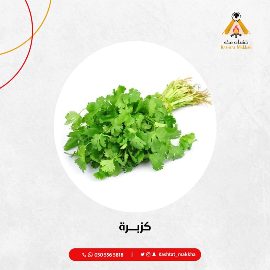 كزبرة