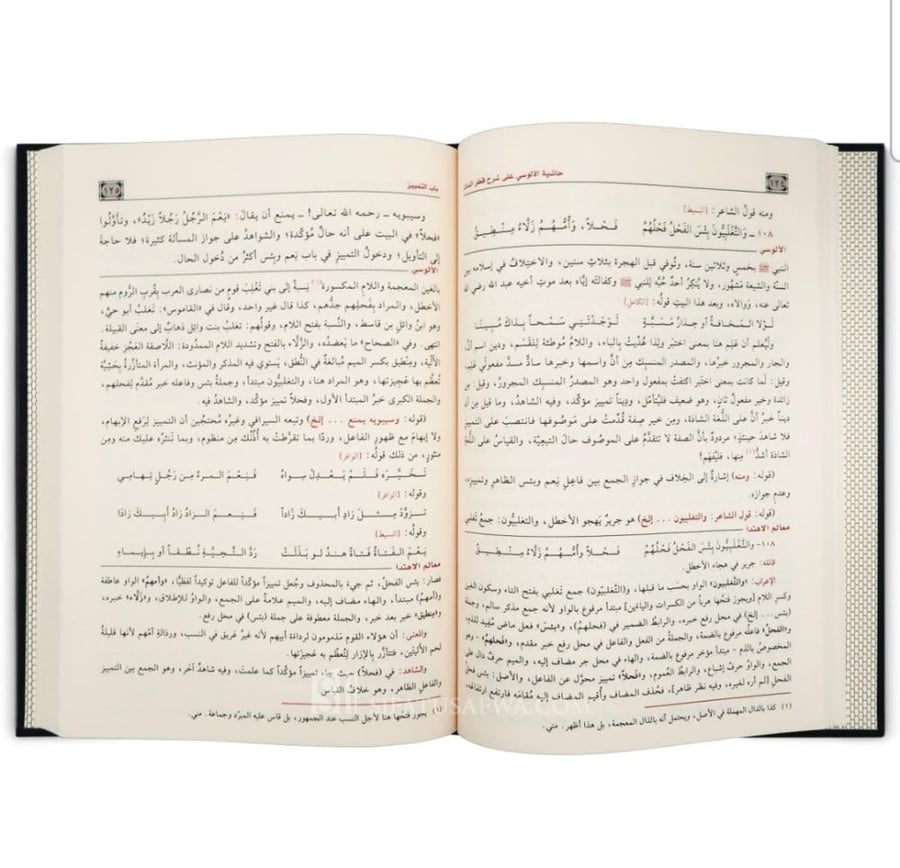 حاشية الألوسي