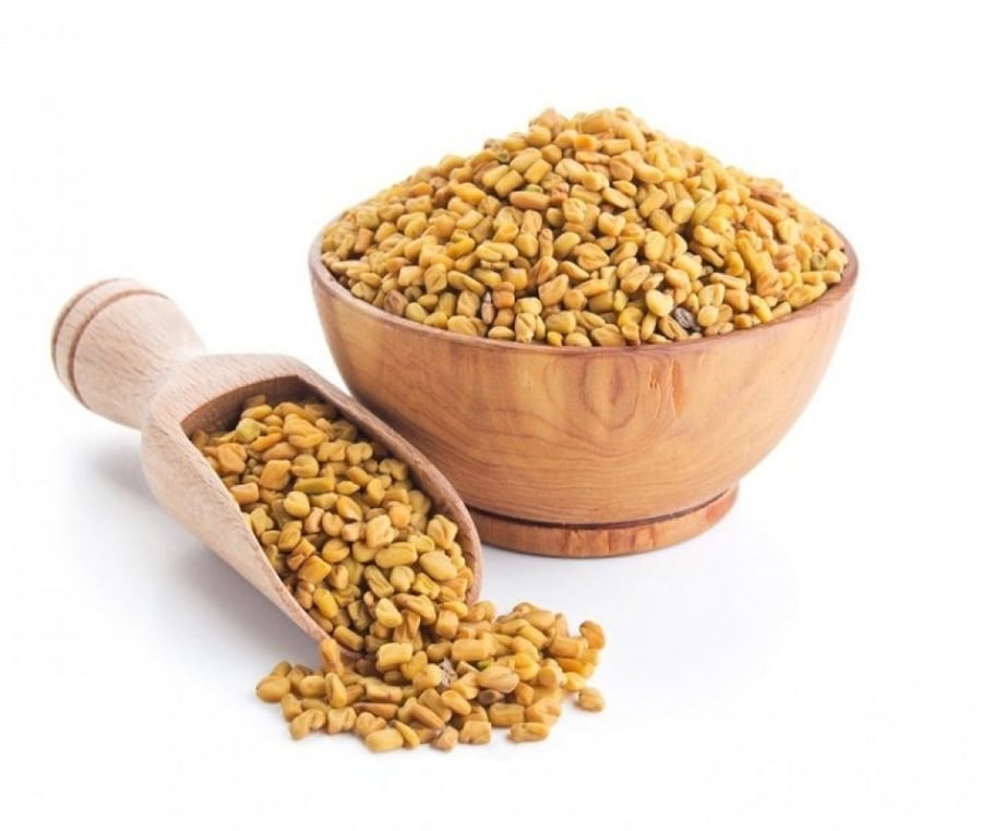 حلبة حب