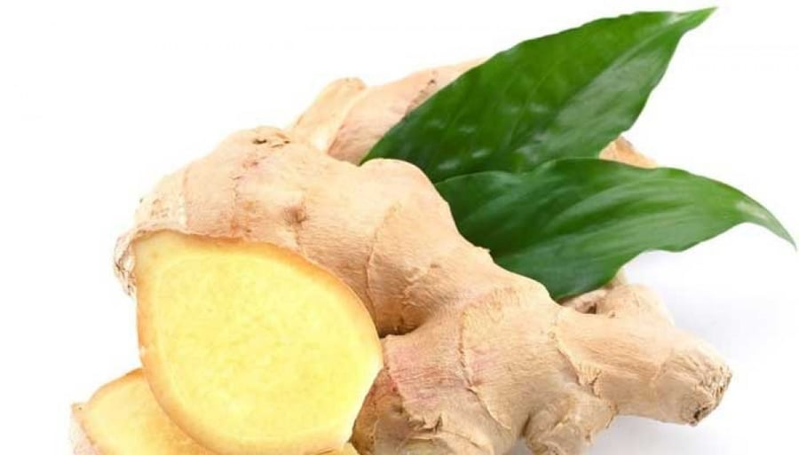 جنزبيل طازج
