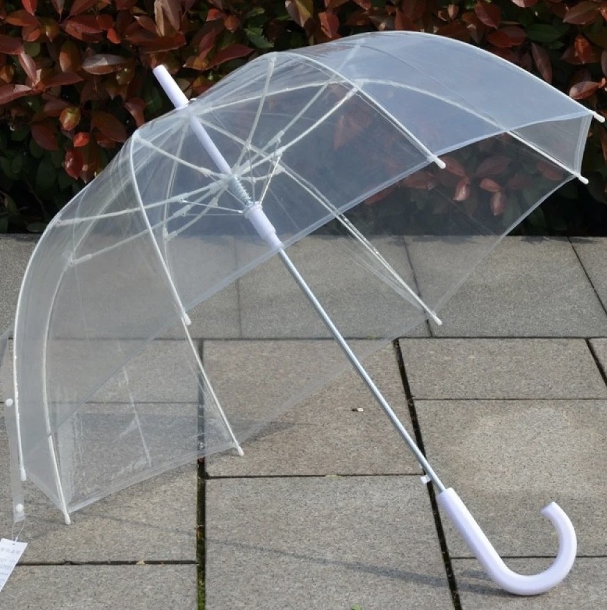 Transparent umbrella