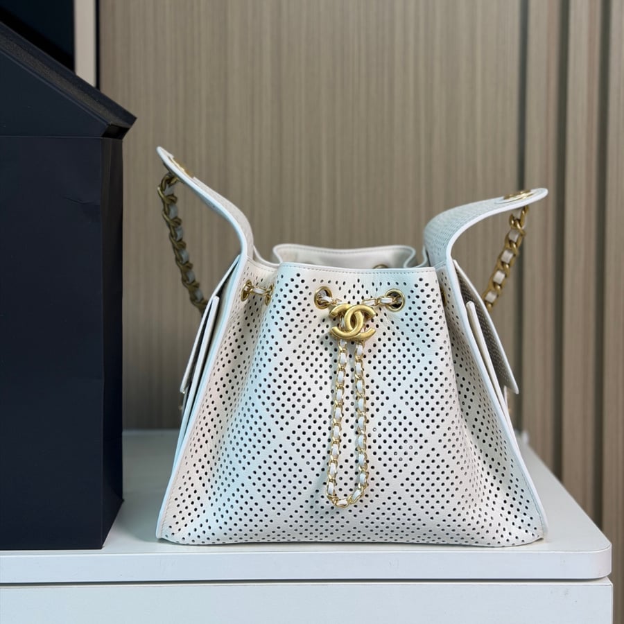 حقيبة شانيل هوبو مقاس صغير  Chanel 25 Hobo 26c small