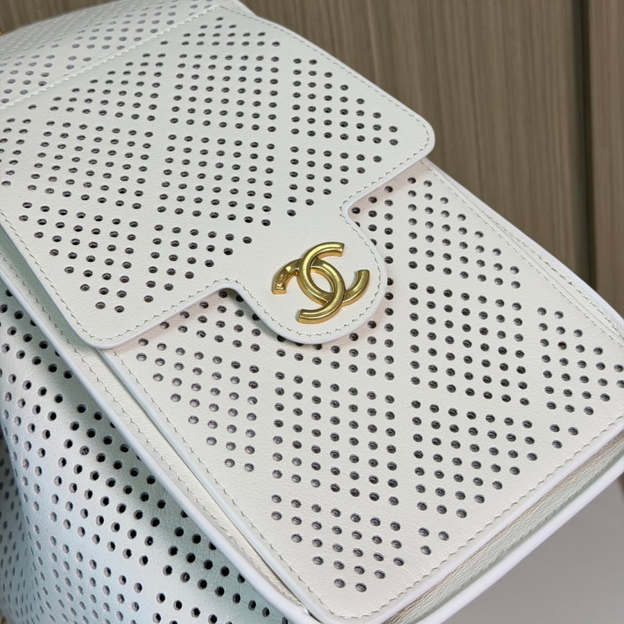حقيبة شانيل هوبو مقاس صغير  Chanel 25 Hobo 26c small