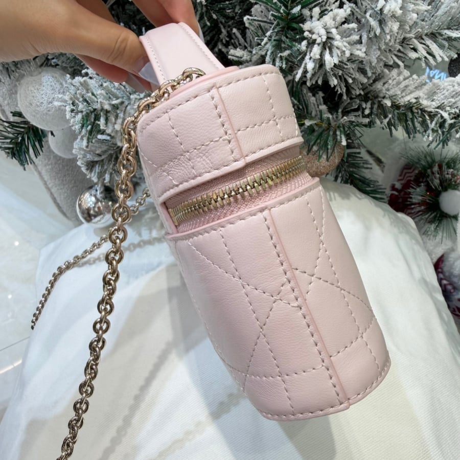 حقيبة ديور Dior Trianon Soft Vanity