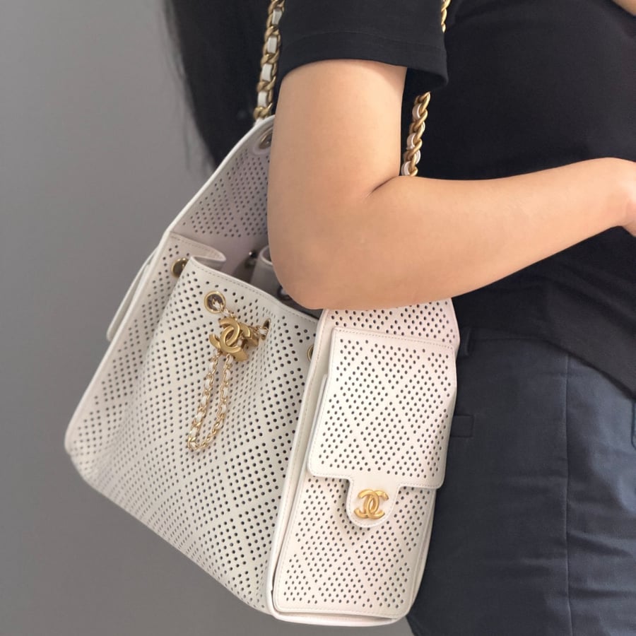 حقيبة شانيل هوبو مقاس صغير  Chanel 25 Hobo 26c small
