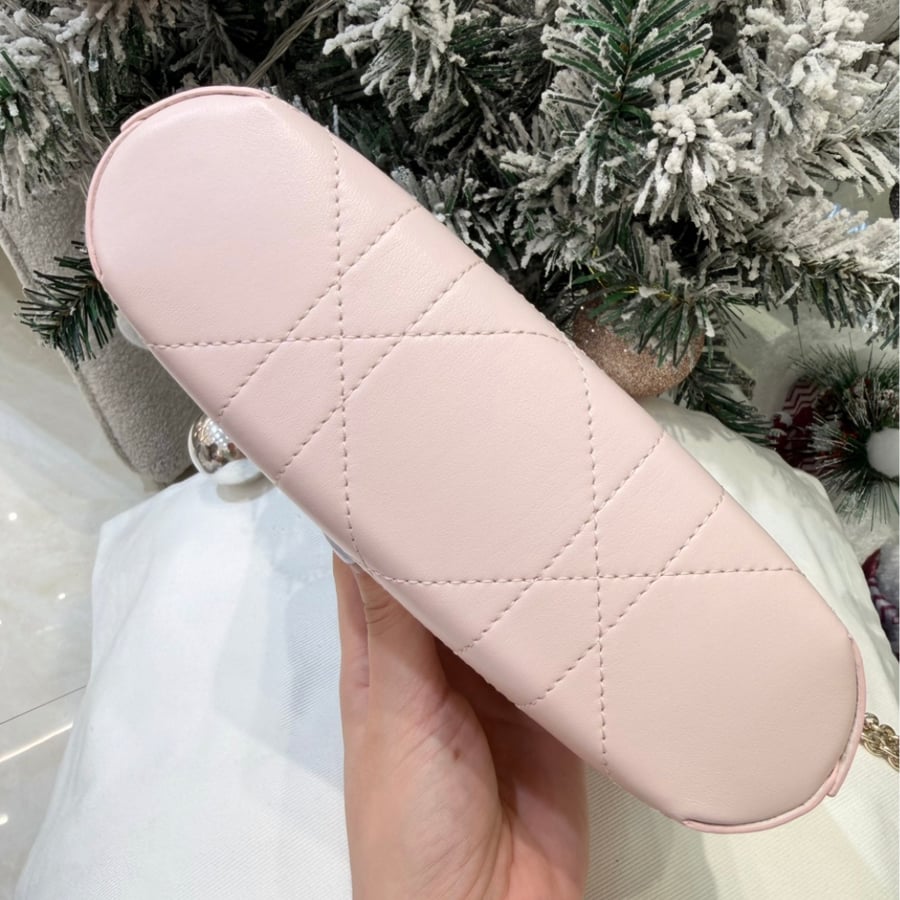 حقيبة ديور Dior Trianon Soft Vanity