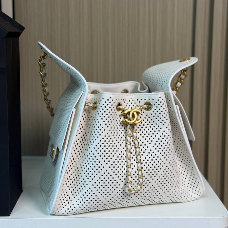 حقيبة شانيل هوبو مقاس صغير  Chanel 25 Hobo 26c small