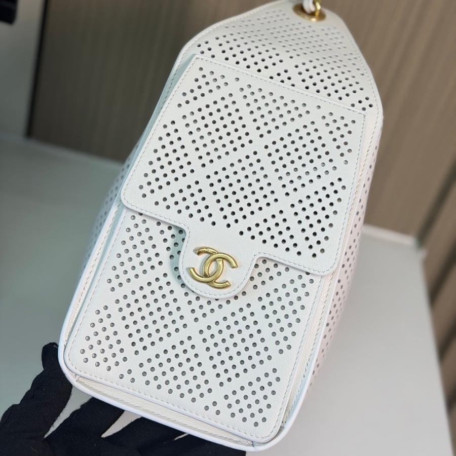 حقيبة شانيل هوبو مقاس صغير  Chanel 25 Hobo 26c small