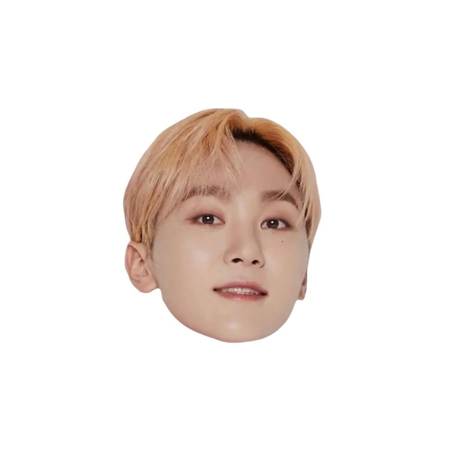 SEVENTEEN- Griptok