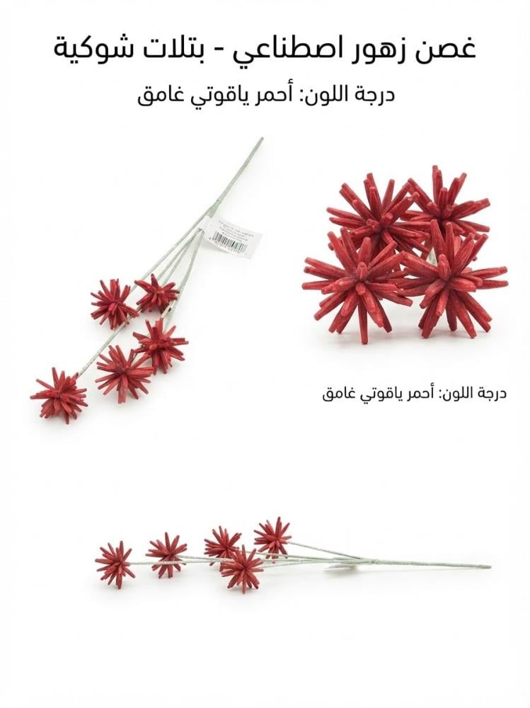 بتلات شوكيه كبير
