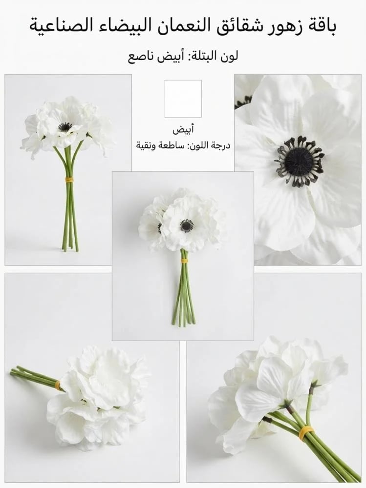 زهره شقائق النعمان ( الربطه 6 حبات )