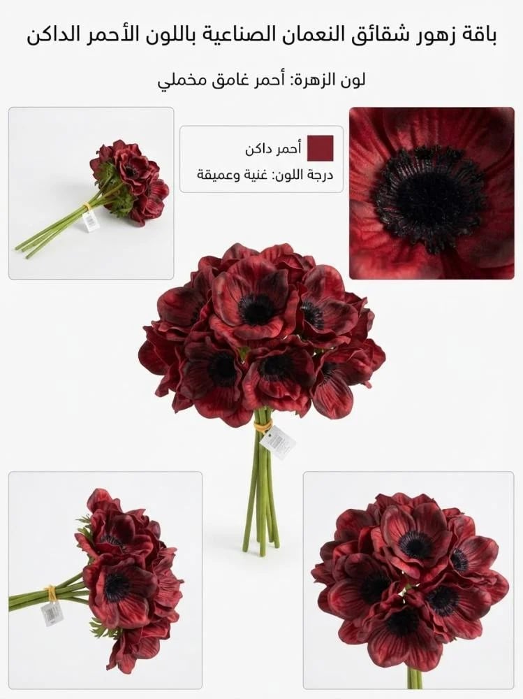 زهره شقائق النعمان ( الربطه 6 حبات )