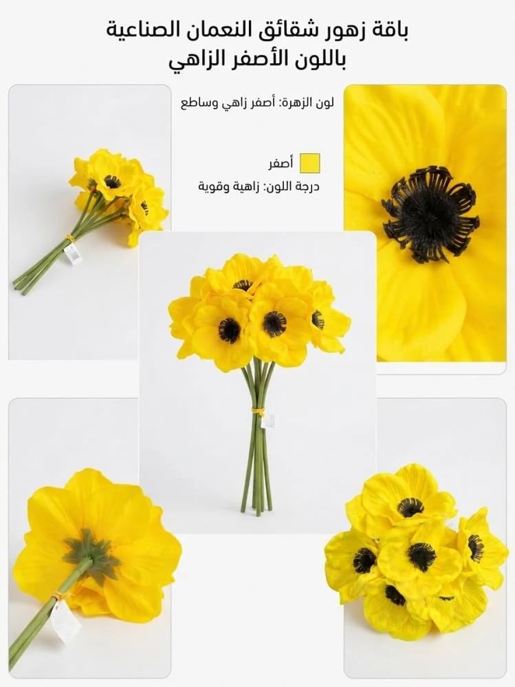 زهره شقائق النعمان ( الربطه 6 حبات )