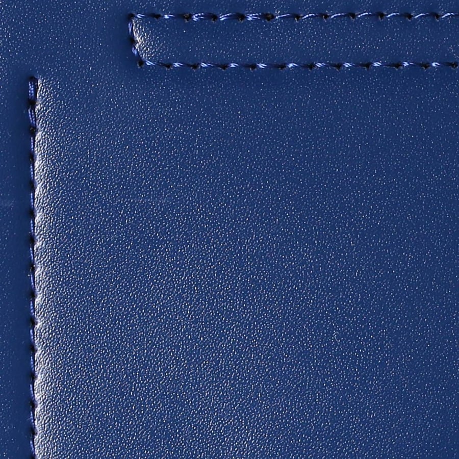 Lepore women's handbag, blue color, 225603