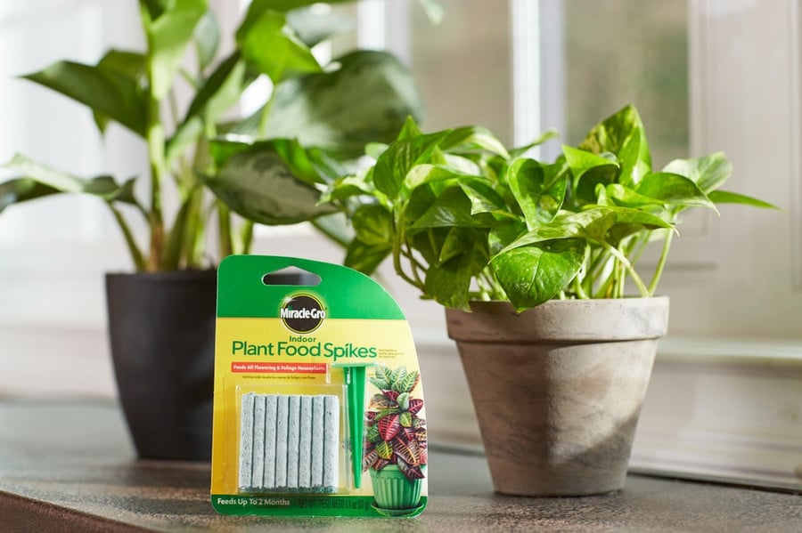 Miracle-Gro® 24 internal vegetarian feeding nails