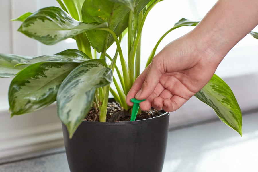 Miracle-Gro® 24 internal vegetarian feeding nails