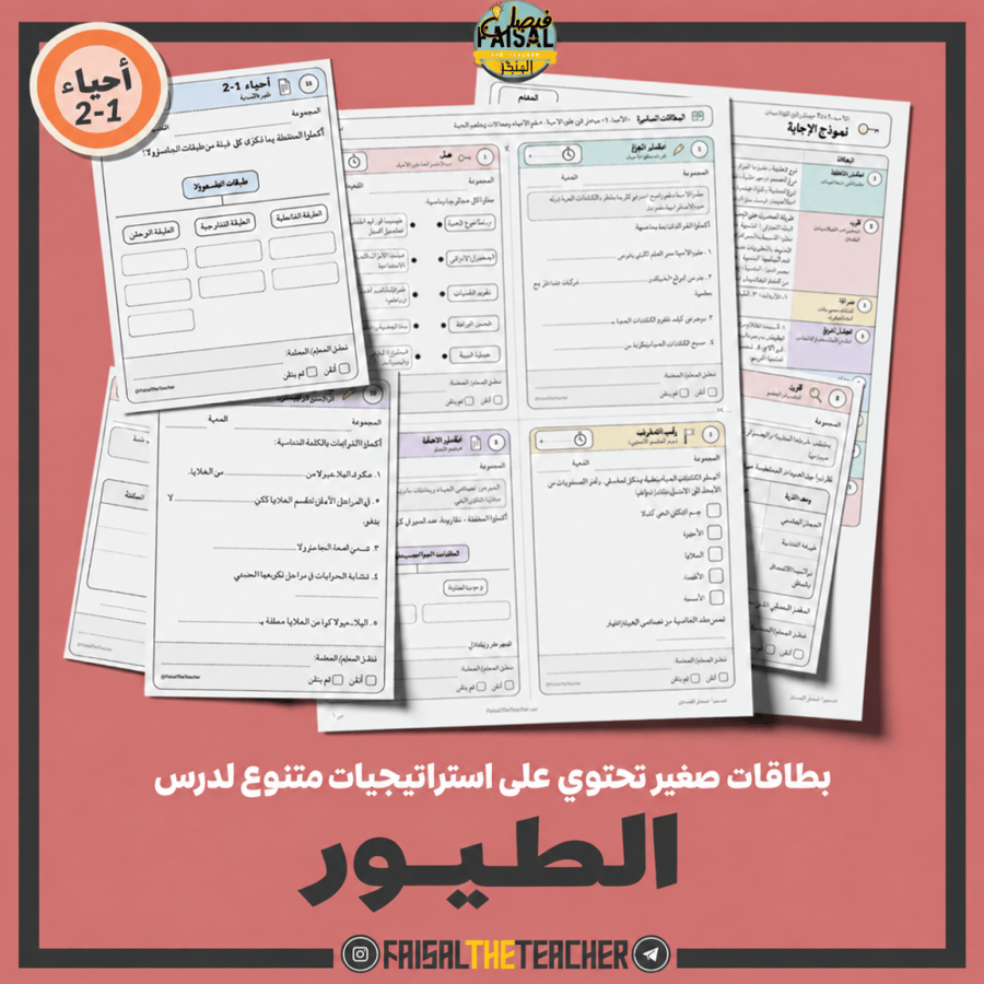 استراتيجيات صغيرة - الطيور