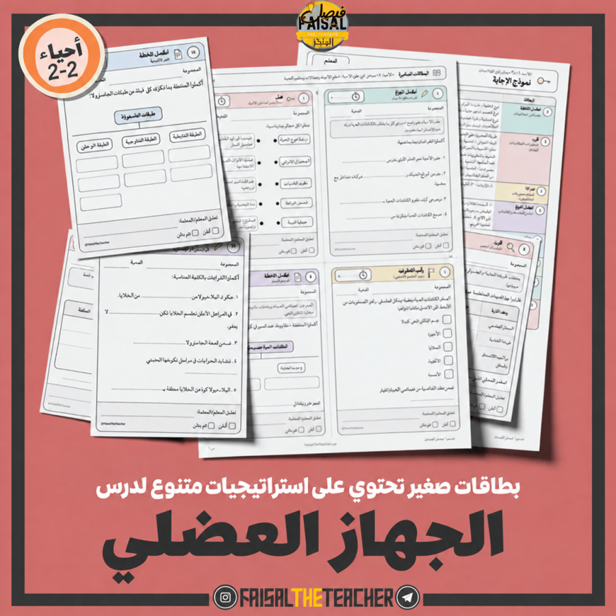استراتيجيات صغيرة - الجهاز العضلي