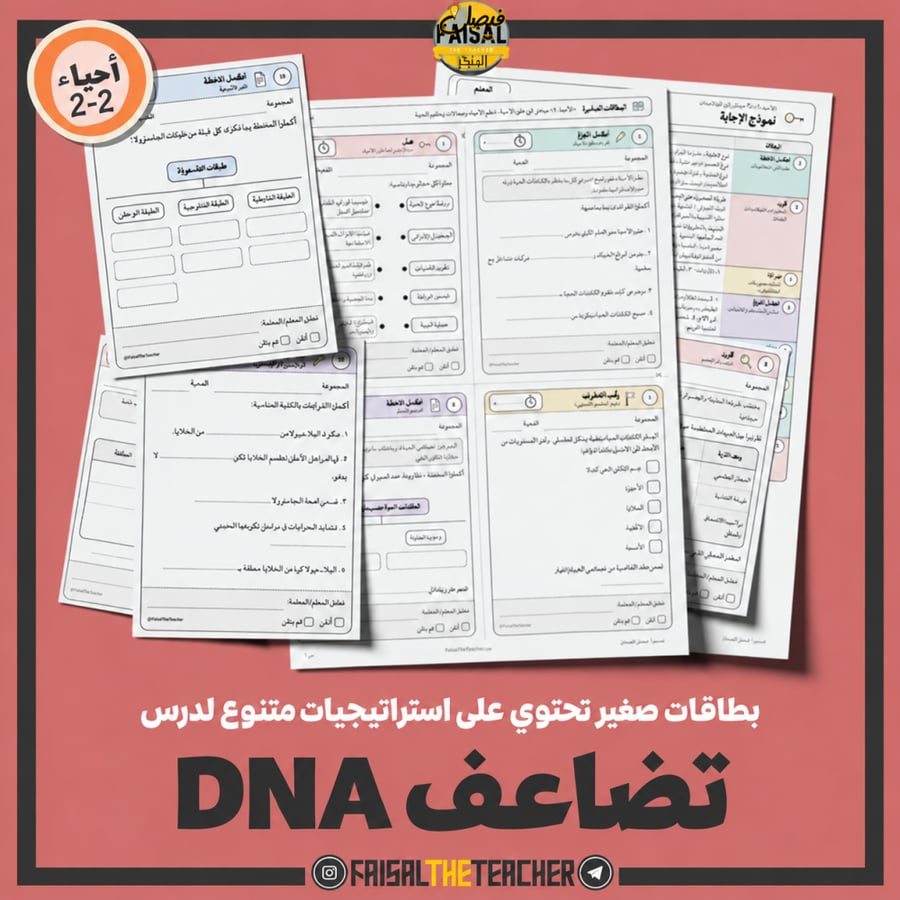 استراتيجيات صغيرة - تضاعف DNA