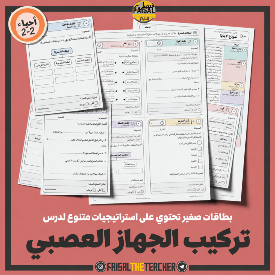 استراتيجيات صغيرة - تركيب الجهاز العصبي