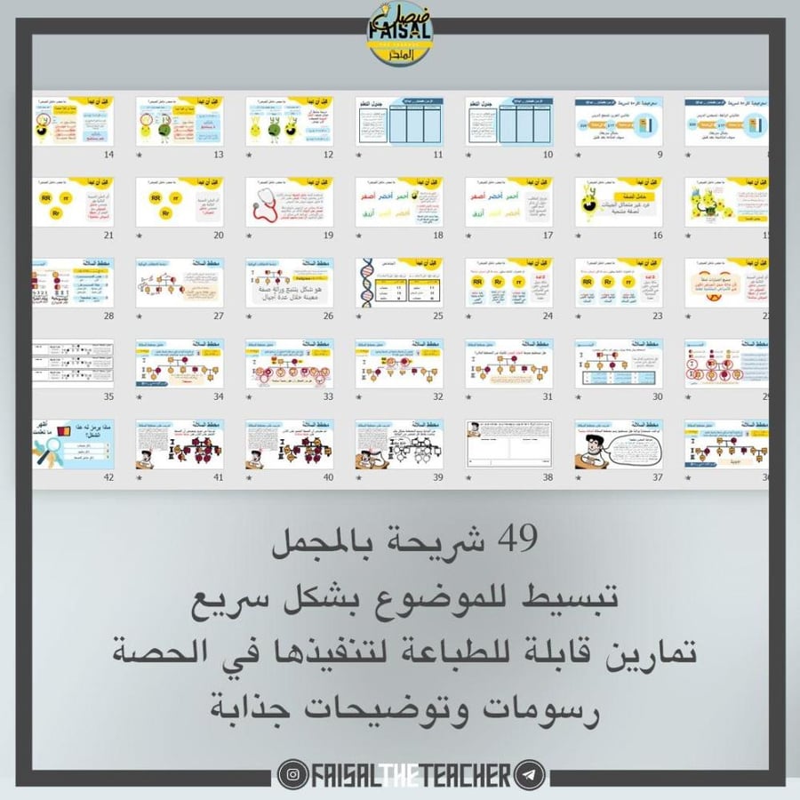 عرض لدرس مخطط السلالة  - 23B