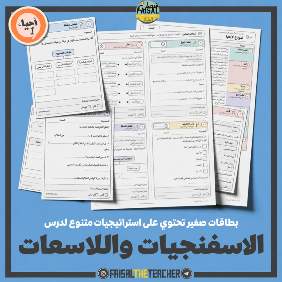 استراتيجيات صغيرة - الإسفنجيات واللاسعات