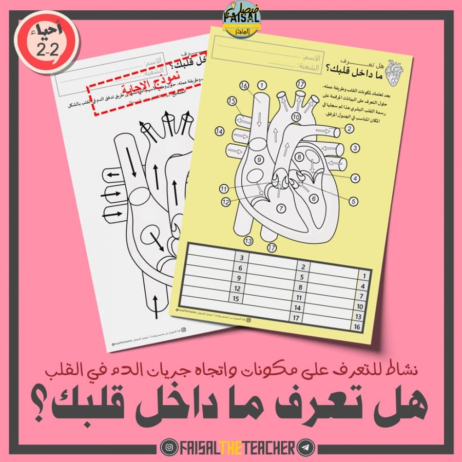 تدريب هل تعرف ماداخل قلبك؟