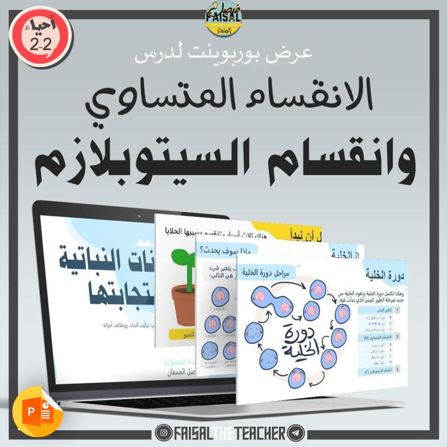 عرض لدرس الانقسام المتساوي وانقسام السيتوبلازم (دورة الخلية) - 16